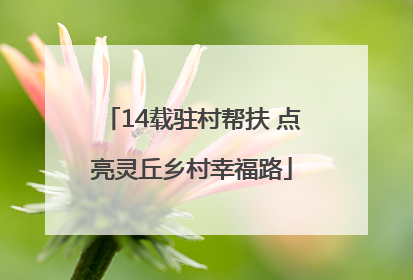 14载驻村帮扶 点亮灵丘乡村幸福路