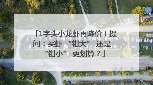 1字头小龙虾再降价！提问：买虾 “钳大” 还是 “钳小” 更划算？