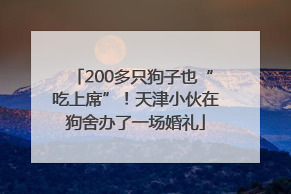 200多只狗子也“吃上席”！天津小伙在狗舍办了一场婚礼