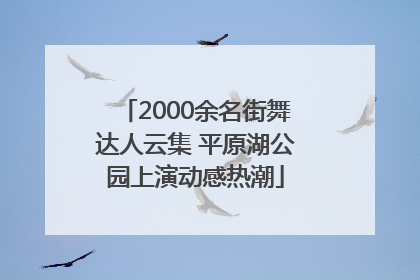 2000余名街舞达人云集 平原湖公园上演动感热潮
