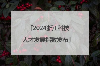 2024浙江科技人才发展指数发布