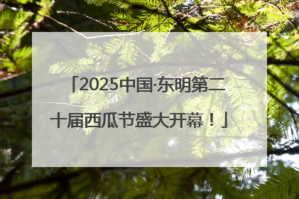 2025中国·东明第二十届西瓜节盛大开幕！