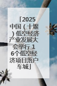 2025中国（十堰）低空经济产业发展大会举行 16个低空经济项目落户车城