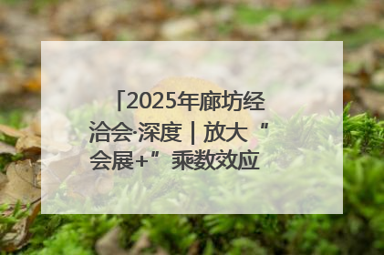 2025年廊坊经洽会·深度｜放大“会展+”乘数效应 打造消费新场景