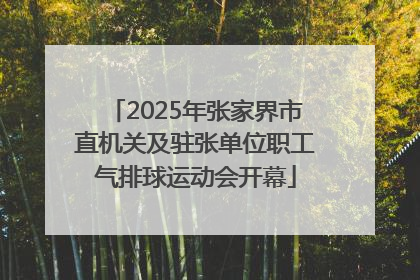 2025年张家界市直机关及驻张单位职工气排球运动会开幕