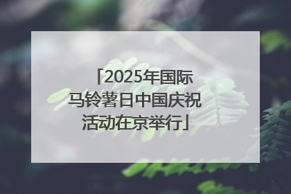 2025年国际马铃薯日中国庆祝活动在京举行