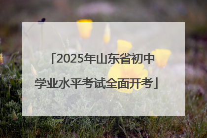 2025年山东省初中学业水平考试全面开考