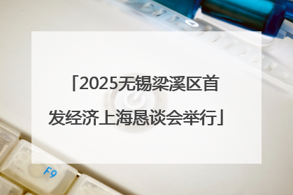 2025无锡梁溪区首发经济上海恳谈会举行