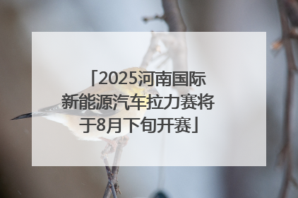 2025河南国际新能源汽车拉力赛将于8月下旬开赛