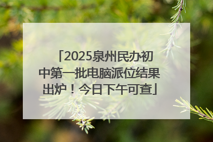 2025泉州民办初中第一批电脑派位结果出炉！今日下午可查