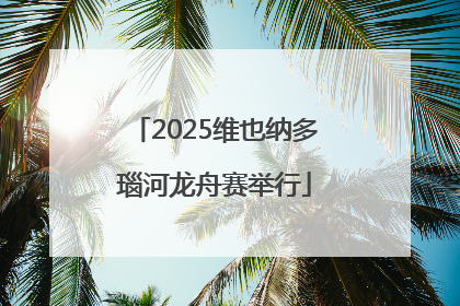 2025维也纳多瑙河龙舟赛举行