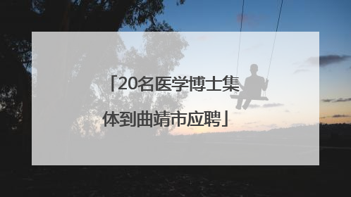 20名医学博士集体到曲靖市应聘