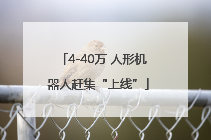 4-40万 人形机器人赶集“上线”