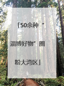 50余种“淄博好物”圈粉大湾区