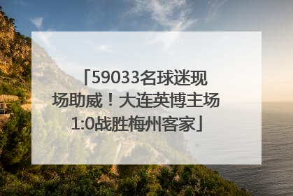 59033名球迷现场助威！大连英博主场1:0战胜梅州客家