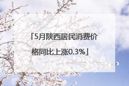 5月陕西居民消费价格同比上涨0.3%