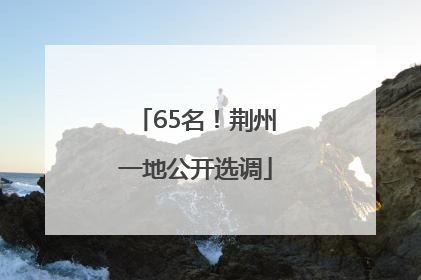 65名！荆州一地公开选调