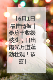 6月1日最佳情报｜桑葚丰收缀枝头，日出霞光万道蓬勃壮观！恭喜