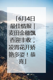 6月4日最佳情报｜麦田金穗飘香迎丰收，凌霄花开娇艳多姿！恭喜