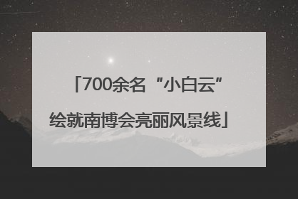 700余名“小白云”绘就南博会亮丽风景线