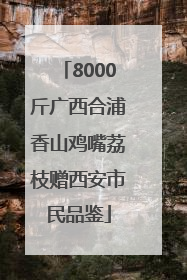 8000斤广西合浦香山鸡嘴荔枝赠西安市民品鉴