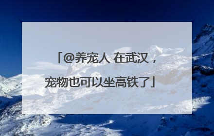 @养宠人 在武汉，宠物也可以坐高铁了