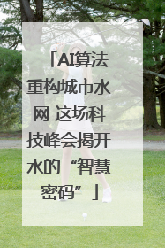 AI算法重构城市水网 这场科技峰会揭开水的“智慧密码”