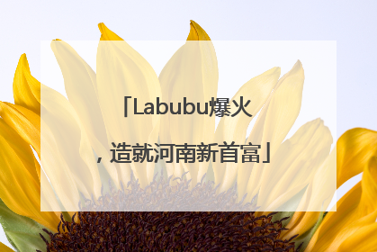 Labubu爆火，造就河南新首富