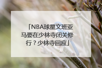 NBA球星文班亚马要在少林寺闭关修行？少林寺回应