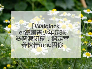 Waldkicker德国青少年足球赛圆满闭幕，指定营养伙伴inne因你陪伴少年前行